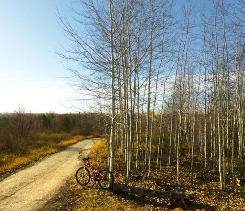 Как нежданная ремиссия у безнадёжно больного;. 05