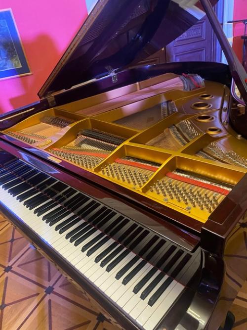 Квартира семьи бенуа. 04