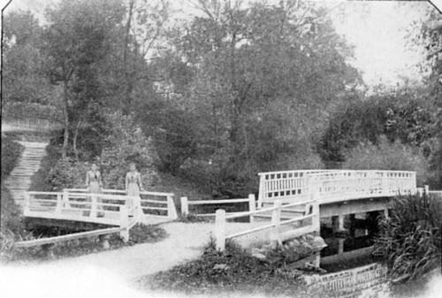 Английский парк (Петергоф). 04