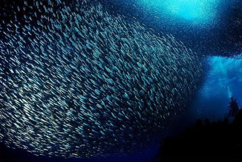 Истории старого андройда - 291. 07