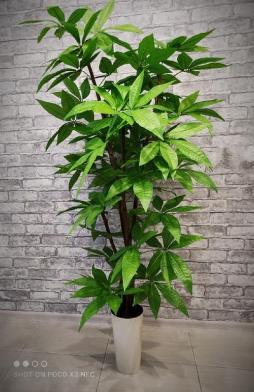 Кто не мечтает о том, чтобы дом всегда украшали роскошный букет или милые горшечные растения? 04