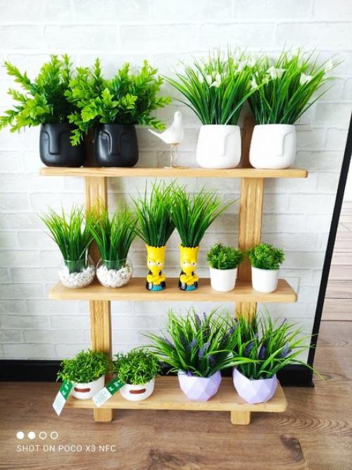 Кто не мечтает о том, чтобы дом всегда украшали роскошный букет или милые горшечные растения? 05