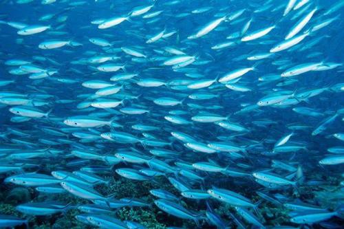 Истории старого андройда - 291. 02