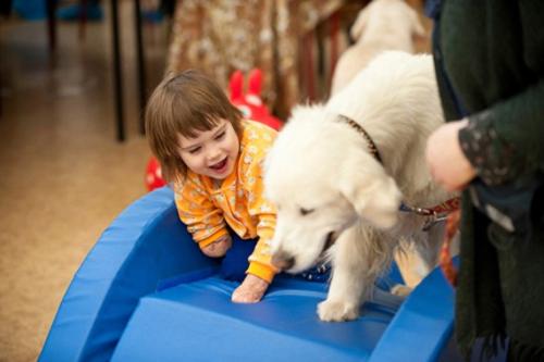 Особая собачка. Домашний питомец в семье с особым ребенком: каким он должен быть и можно ли вообще его заводить? 04