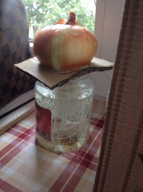 С огромным удовольствием пишу свой первый отзыв в ППС? 06