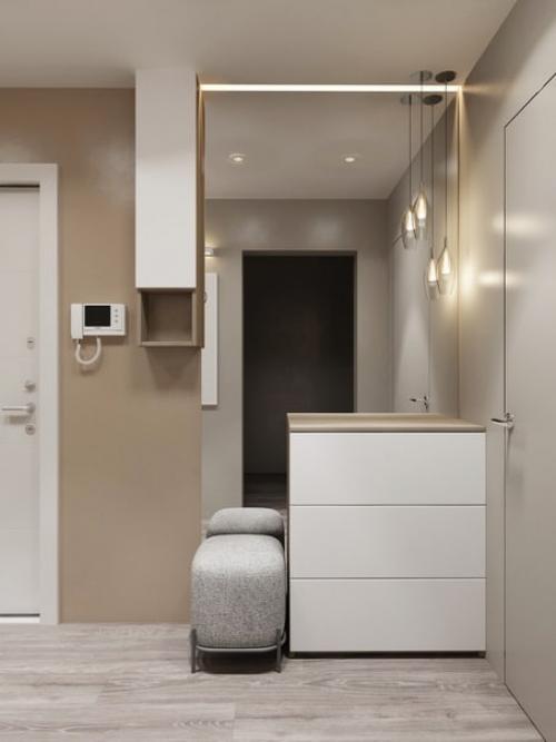 Мы выбираем лучший вариант дизайна прихожей: с яркими элементами или нейтральный? 05