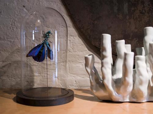 Лофт в Амстердаме в здании старого склада! 09