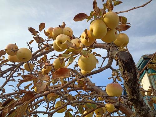 Как нежданная ремиссия у безнадёжно больного;. 03