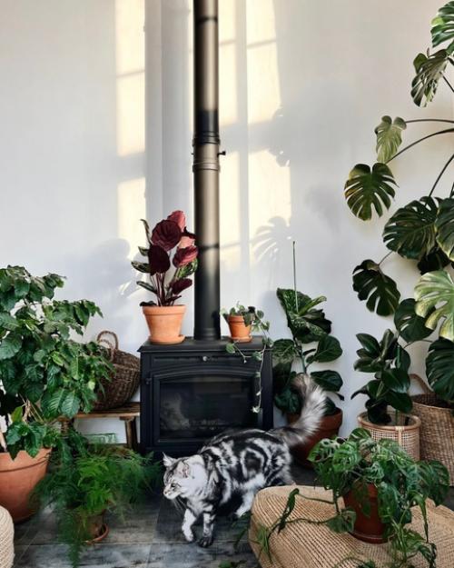 Привет, меня зовут Юлия! 03