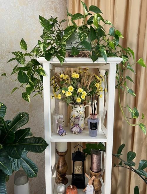 Про этот предмет мебели в нашей квартире самые частые вопросы. 06