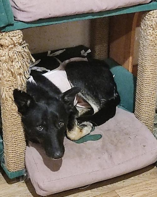 Коротко о разном. 01