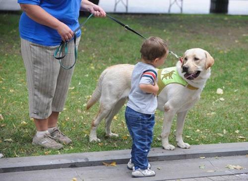 Особая собачка. Домашний питомец в семье с особым ребенком: каким он должен быть и можно ли вообще его заводить? 01