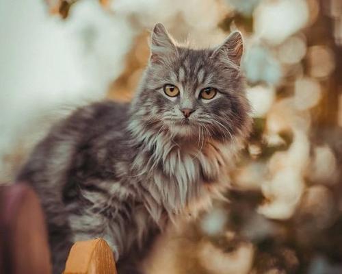 В каждом времени года есть своя прелесть. 04