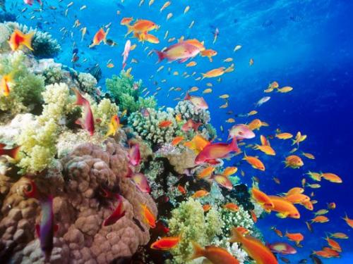 Истории старого андройда - 291. 05