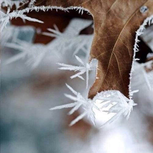 В каждом времени года есть своя прелесть. 01