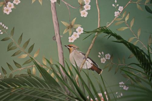 Зелёная гостиная - уютное кафе, которое занимает один из залов кондитерской Анны Красовской. 06