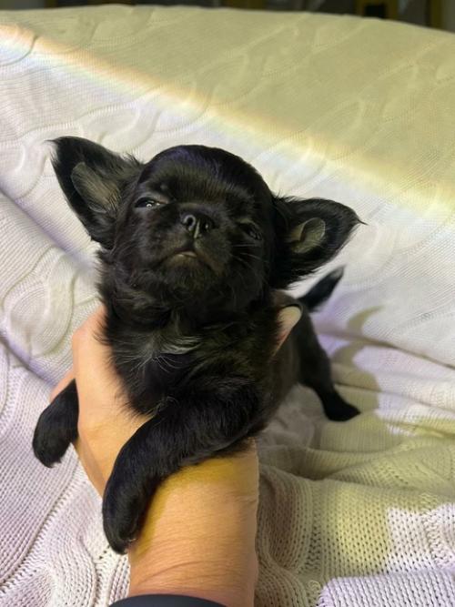 Давно хотелось сделать что нибудь эдакое в интерьере. 05