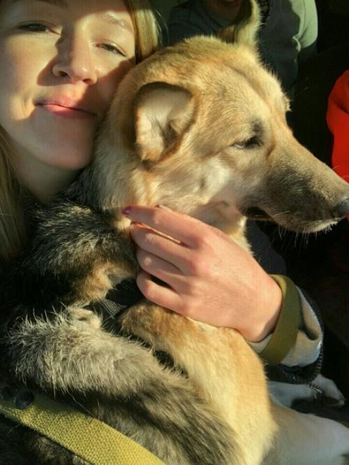 Я взяла собаку из приюта, значит, сможешь и ты. 06