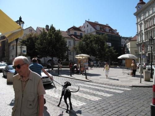 Куда сходить в дни рождественских каникул? 06