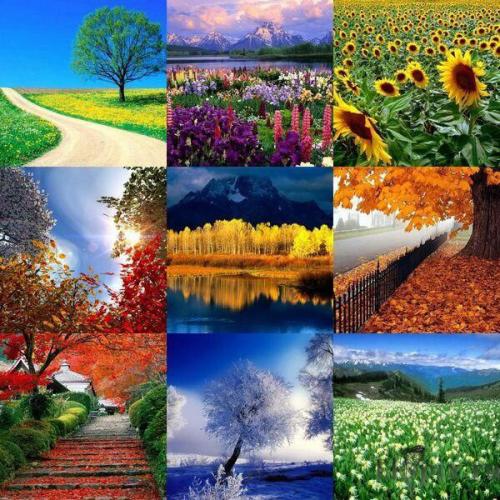 * Жизнь на позитиве.  