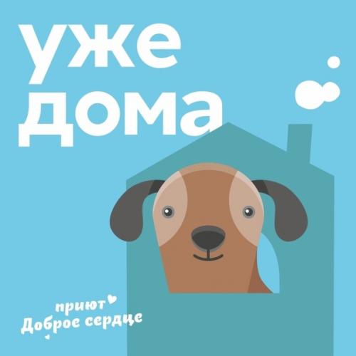 Хороших новостей много не бывает! 04