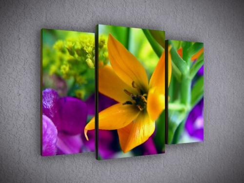 Новая картина в гостиную или красочные современные фотообои? 02