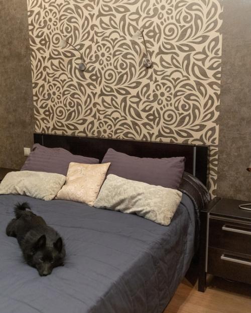 Очередной шок - контент! 03