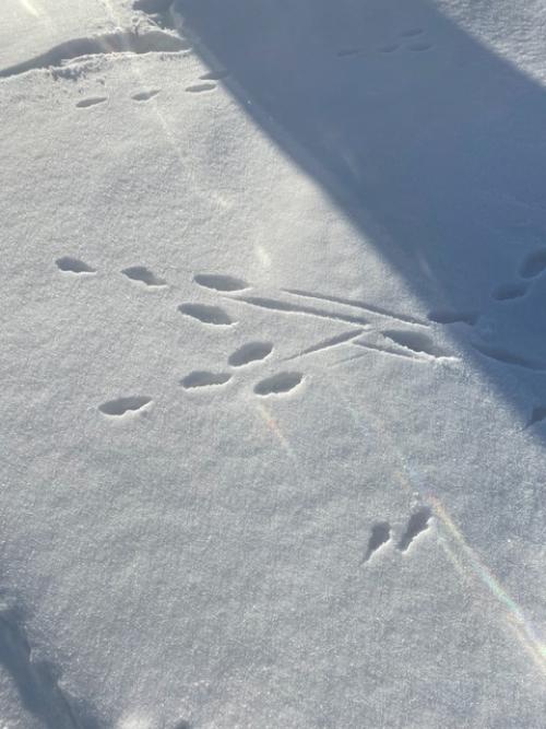 Ночные гости нагорской мельницы. 07 Ночные гости нагорской мельницы. 07