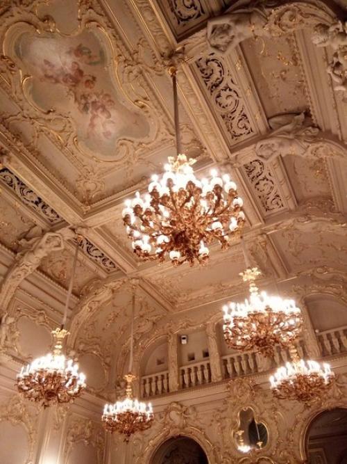 Дворец великого князя Владимира Александровича, ныне дом ученых. 03