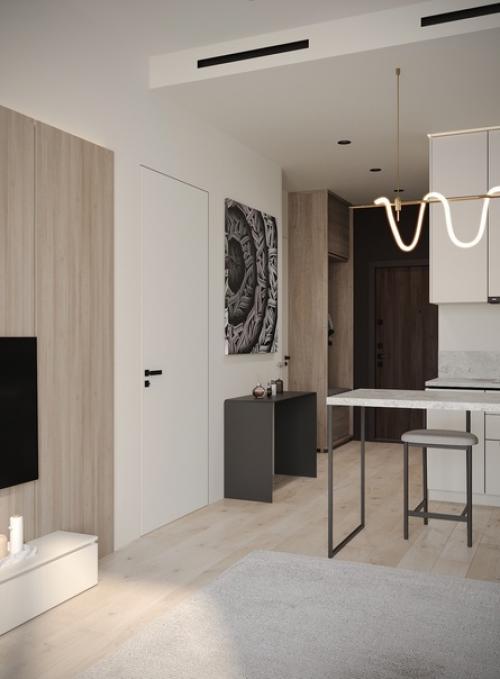 Современный монохромный интерьер апартаментов 41 кв. 04