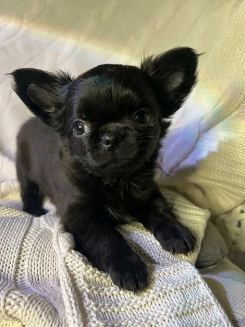 Давно хотелось сделать что нибудь эдакое в интерьере. 03