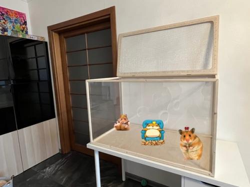 Москва!  БГ _Москва.  Воистину царские хоромы для вашего. 01