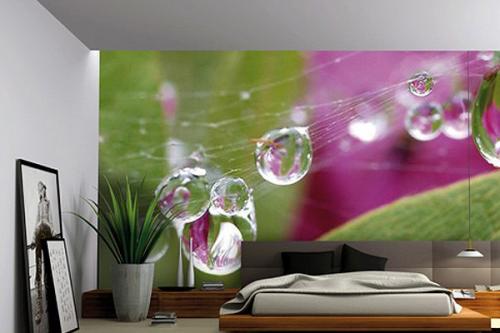 Натяжные стены.  Миф или реальность. 05