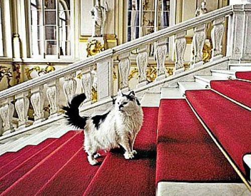 Тайны зимнего дворца. 04