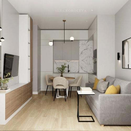 42, 37 м 2 квартира часть 1. 06