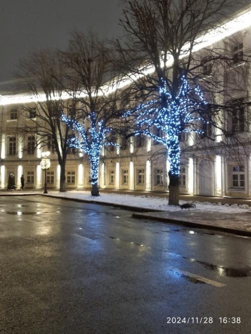 Елки начинаются. Ещё не закончился ноябрь, в все уже напоминает о приближении нового года! 05