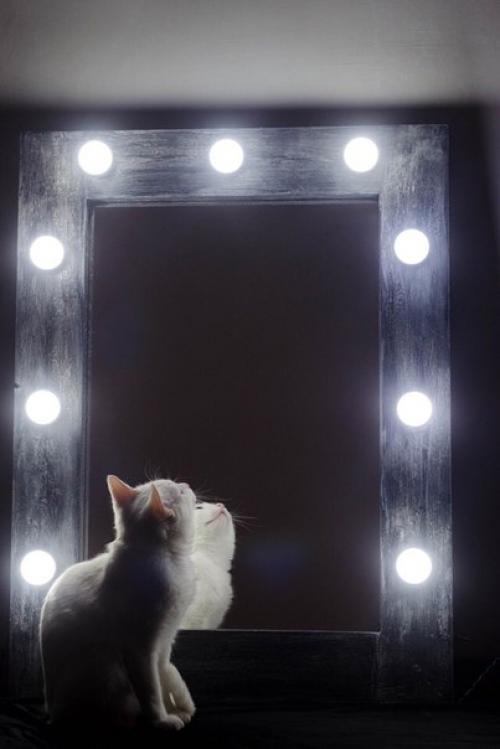 Понятно, что у всех есть зеркало в ванной, прихожей или спальне, но это просто зеркала. 01