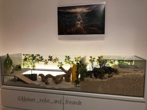 Москва!  БГ _Москва.  Воистину царские хоромы для вашего. 04