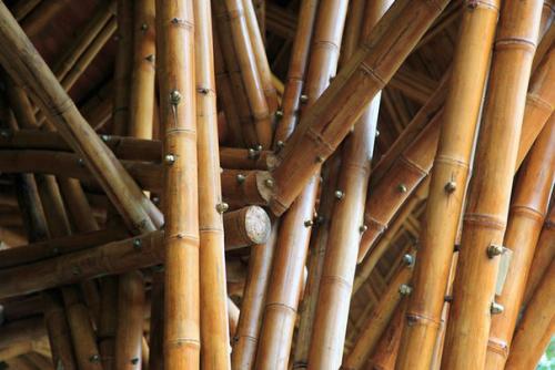 Экологический детский центр в Таиланде! 02