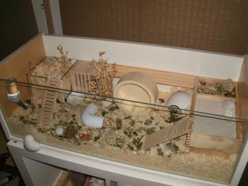 Москва!  БГ _Москва.  Воистину царские хоромы для вашего. 06