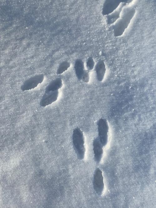 Ночные гости нагорской мельницы. 06 Ночные гости нагорской мельницы. 06