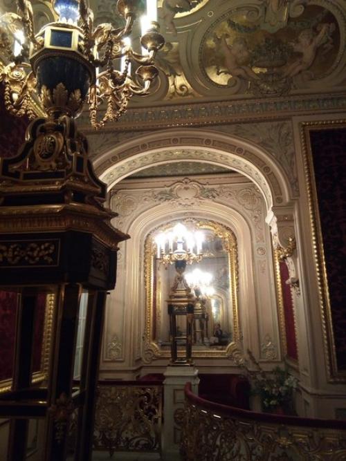 Дворец великого князя Владимира Александровича, ныне дом ученых. 05