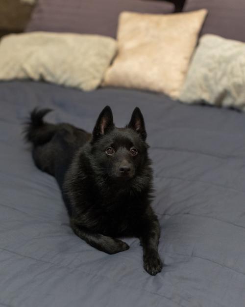 Очередной шок - контент! 04