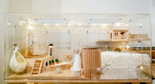 Москва!  БГ _Москва.  Воистину царские хоромы для вашего. 03