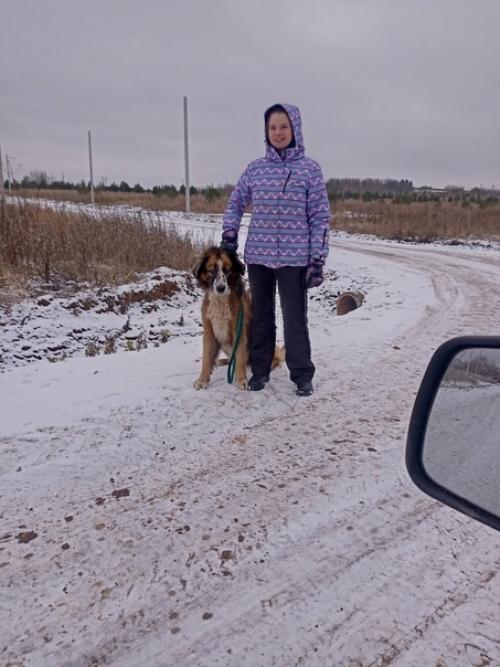 Хороших новостей много не бывает! 01