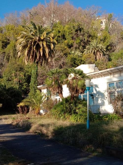 Когда - нибудь моё увлечение Сталиным до добра не доведет. 03