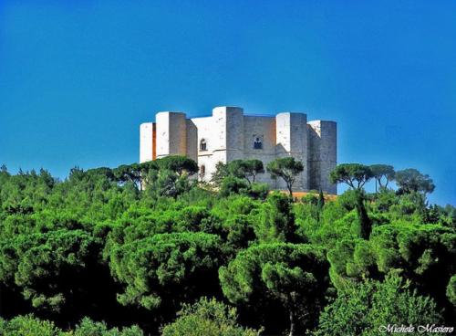 Кастель - дель - монте (итал. 02