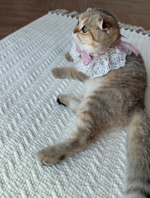 Артикул WB 519168853. 07