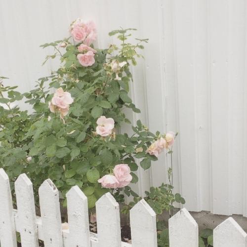 Как придать уют вашему дому. 04 Как придать уют вашему дому. 04