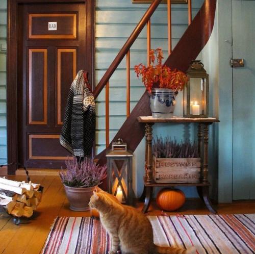 Уютный дом невероятно. 05